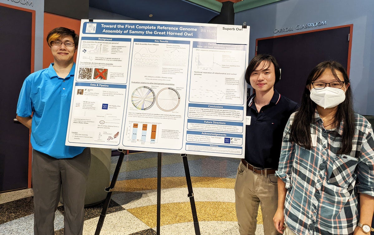 Rice D2K students (Liangying Huang, Anthony Minsuk Kang and Hannah Yin) work on the first genome assembly of the great horned owl