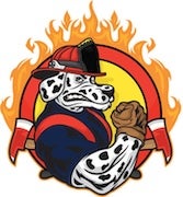 Dalmation firefighter