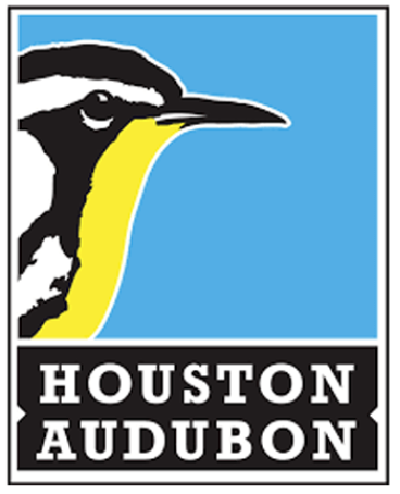 Logo of bird