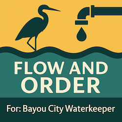 Flow and Order